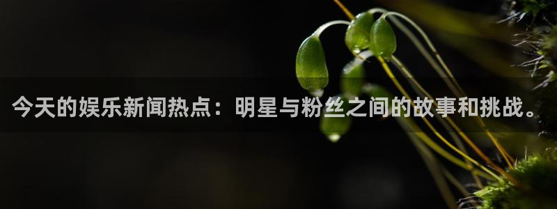 今天的娱乐新闻热点：明星与粉丝之间的故事