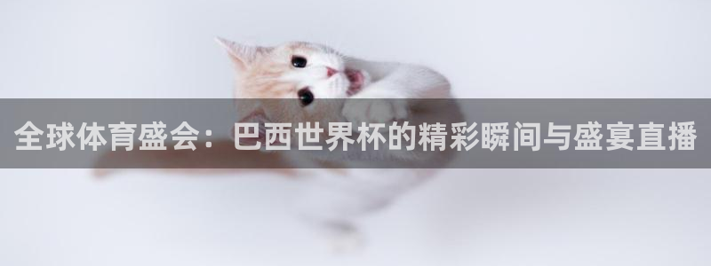 全球体育盛会：巴西世界杯的精彩瞬间与盛宴