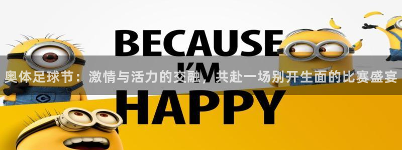 奥体足球节：激情与活力的交融，共赴一场别