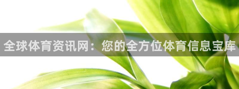 全球体育资讯网：您的全方位体育信息宝库