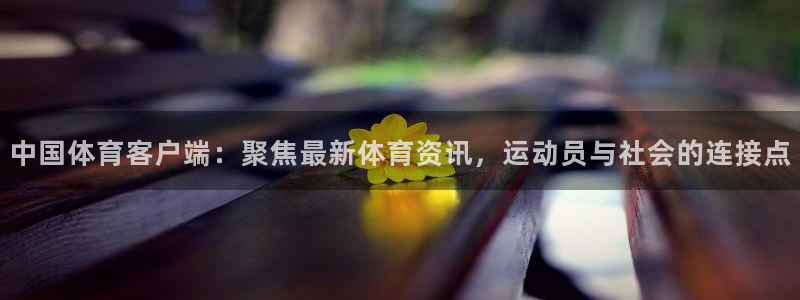 中国体育客户端：聚焦最新体育资讯，运动员