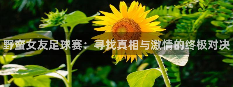 野蛮女友足球赛：寻找真相与激情的终极对决