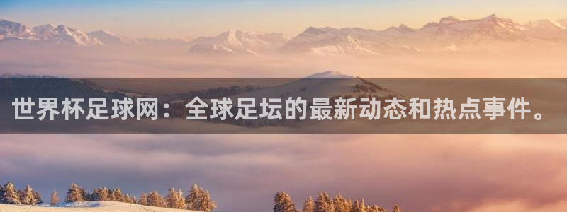 世界杯足球网：全球足坛的最新动态和热点事