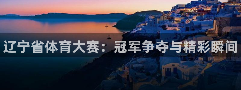 辽宁省体育大赛：冠军争夺与精彩瞬间