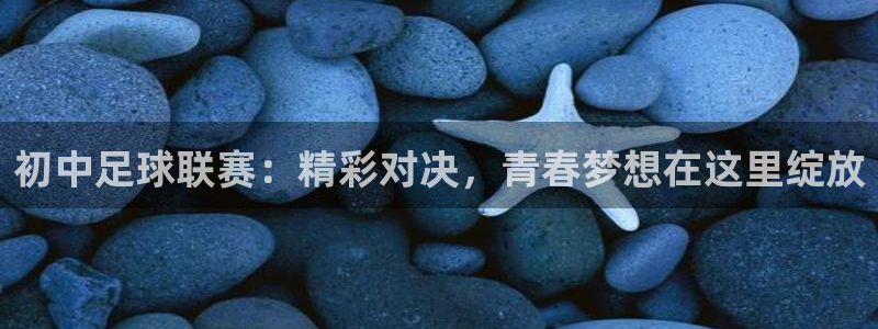 初中足球联赛：精彩对决，青春梦想在这里绽